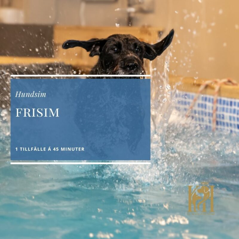 Frisim 1 tillfälle, 45 min