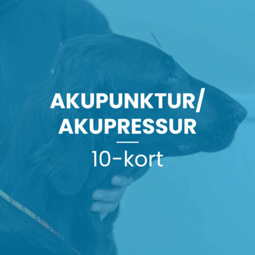 Akupunktur/akupressur 10-kort