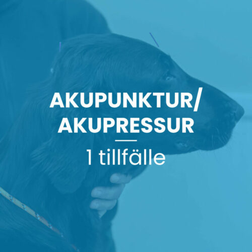 Akupunktur/akupressur 1 tillfälle, 45 min