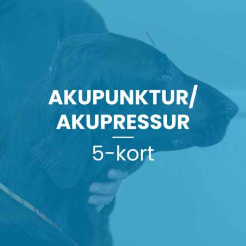 Akupunktur/akupressur 5-kort