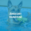 Årskort hundsim