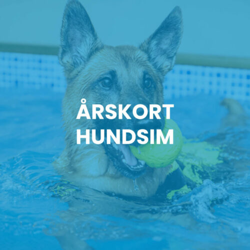 Årskort hundsim inkl. vibb