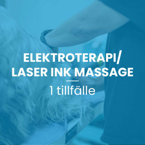 Elektroterapi/Laser inkl. Massage 10-kort