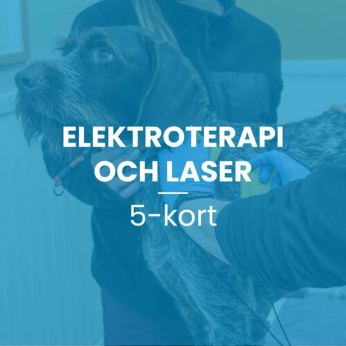 Elektroterapi/Laser 5-kort