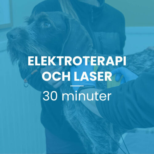 Elektroterapi/Laser 1 tillfälle, 30 min