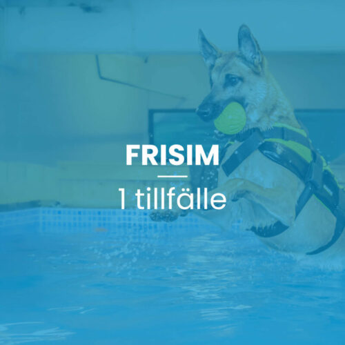 Frisim 1 tillfälle, 45 min