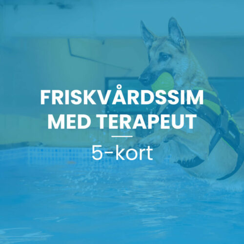 Friskvårdssim med terapeut 5-kort