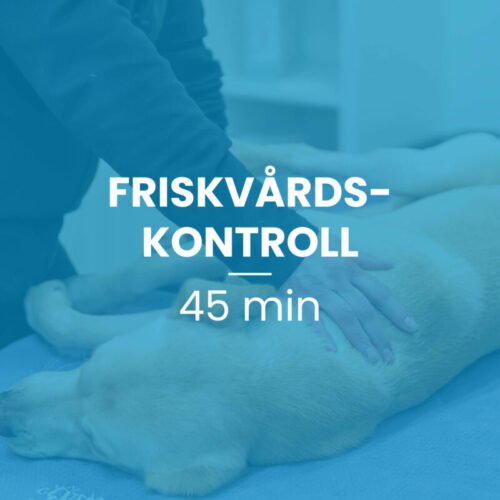 Friskvårdskontroll 45 min