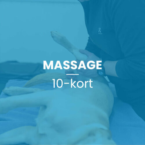 Massage 10-kort