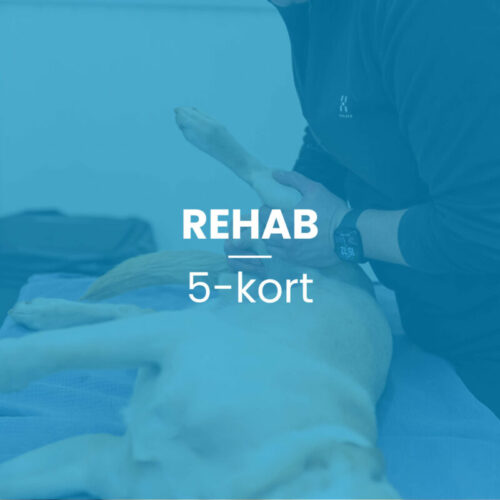Rehab 5-kort