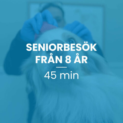 Seniorbesök från 8 år, 45 min