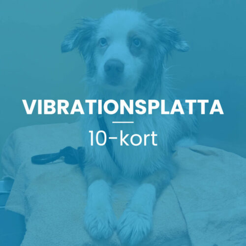 Vibrationsplatta 10-kort