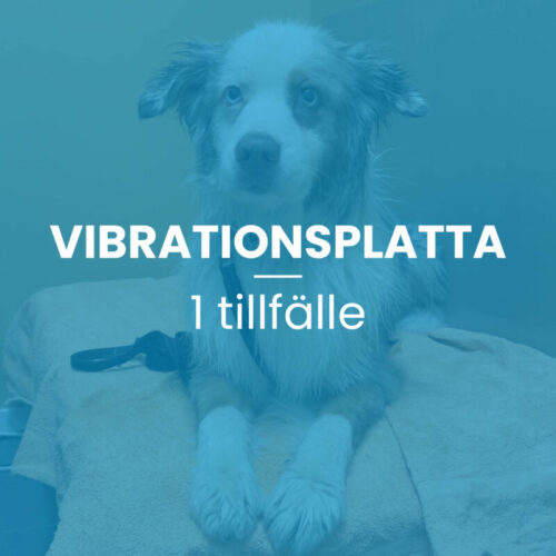 Vibrationsplatta 1 tillfälle