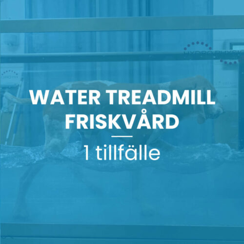 Water treadmill 1-tillfälle, 30 min