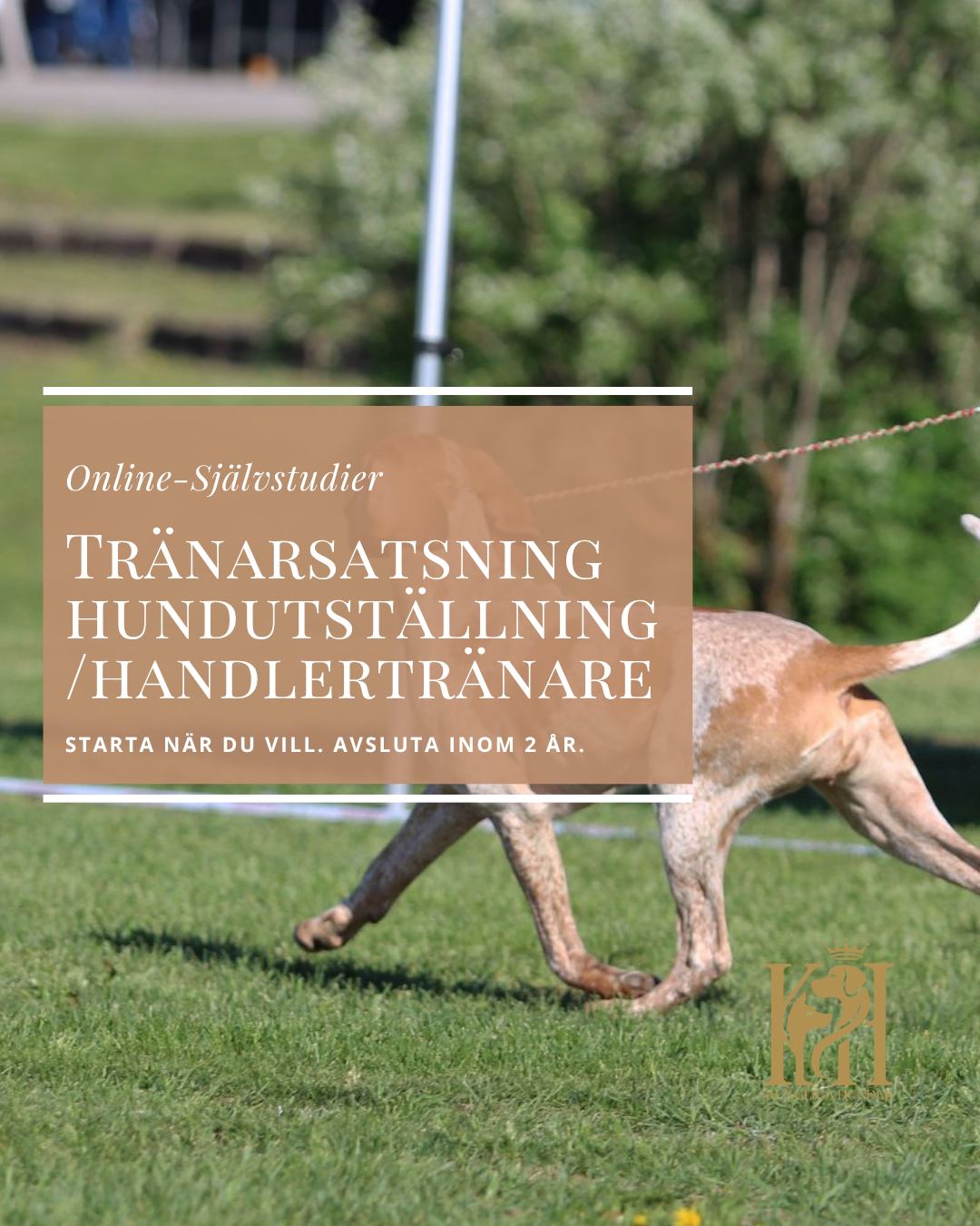 Tränarsatsning för handlers/utställare