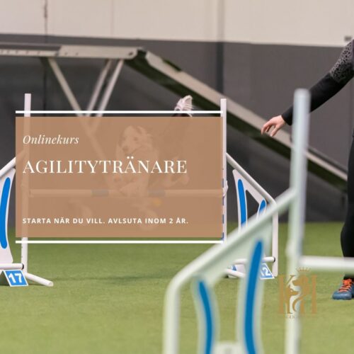 Agilitytränare steg 1