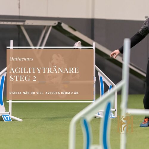 Agilitytränare steg 2