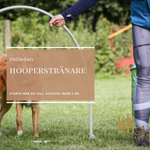 Hooperstränare