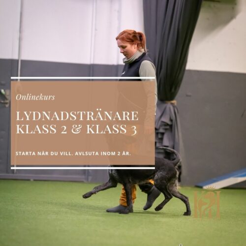 Lydnadstränare Klass 2 & Klass 3