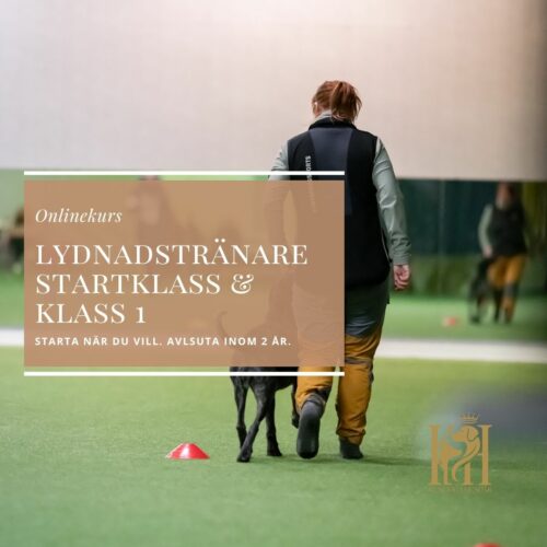 Lydnadstränare Startklass & Klass 1