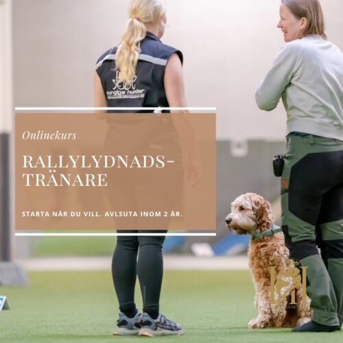 Rallylydnadstränare