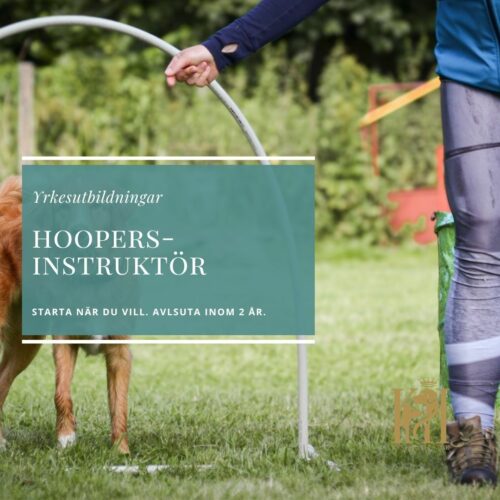 Hoopersinstruktör