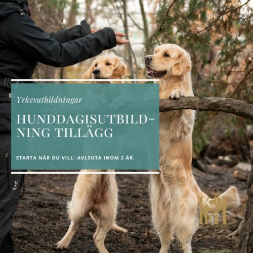 Hunddagisutbildning tillägg