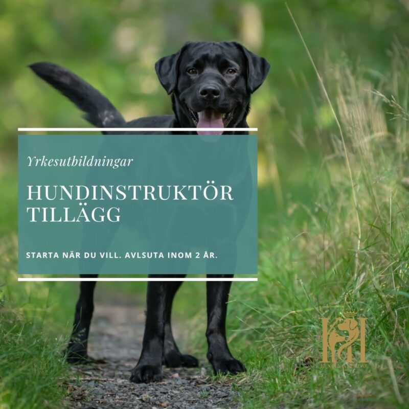 Hundinstruktörsutbildning Tillägg