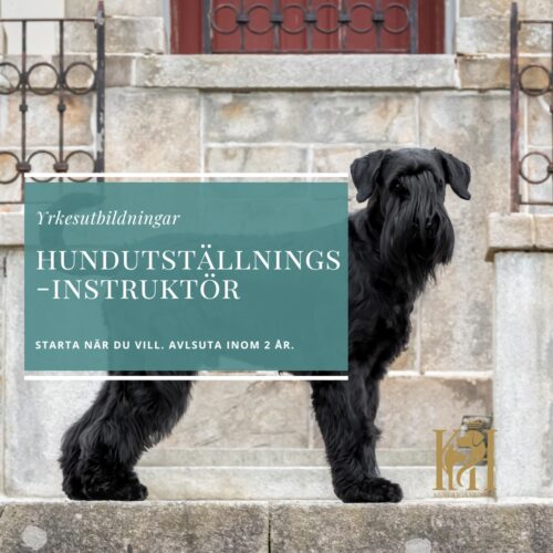 Hundutställningsinstruktör