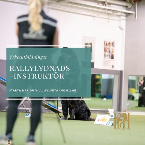Rallylydnadsinstruktör