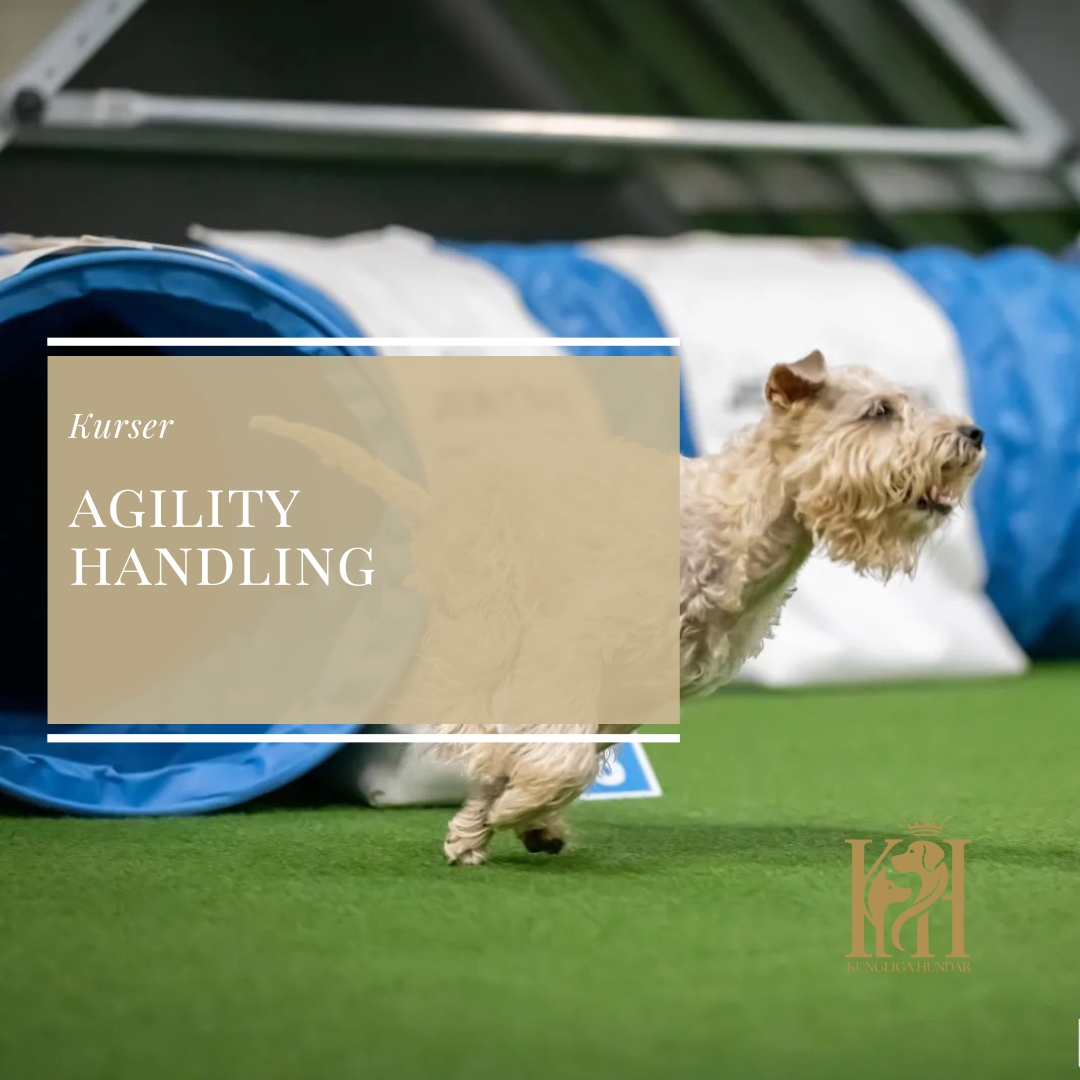 Agility Handling