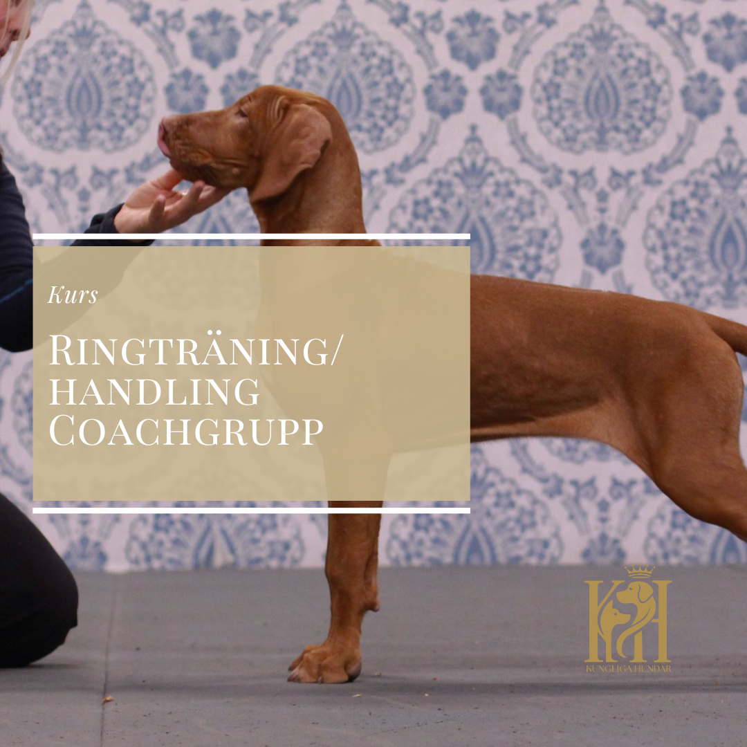Ringträning coachgrupp