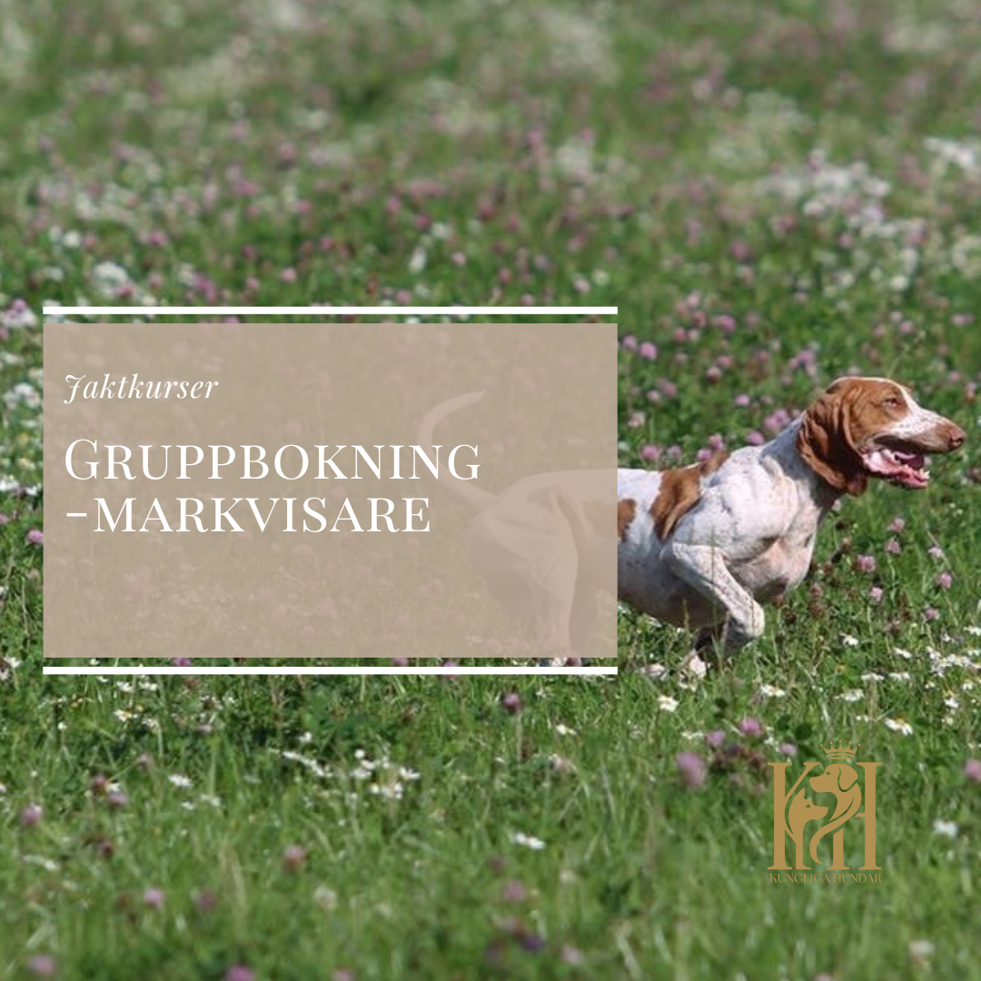 Gruppbokning med markvisare