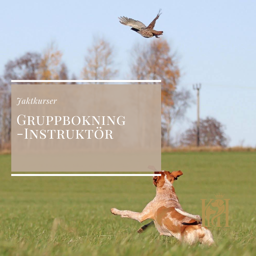 Gruppbokning med instruktör