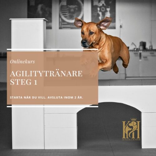 Agilitytränare steg 1