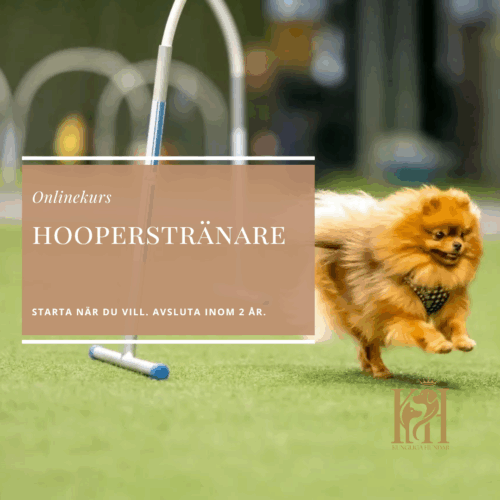 Hooperstränare
