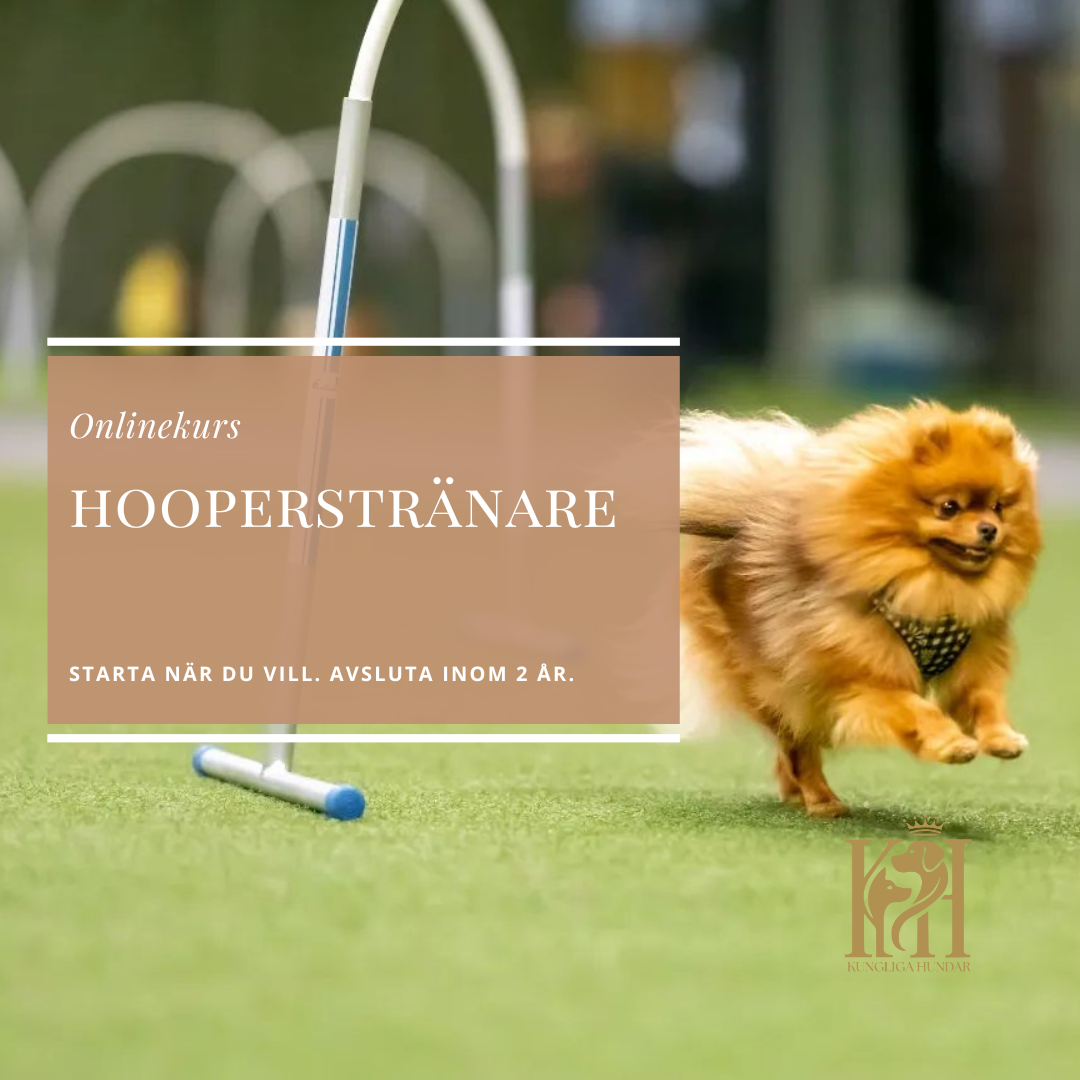 Hooperstränare