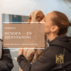 Hunden-en djupdykning