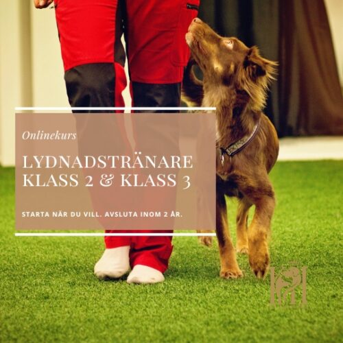 Lydnadstränare Klass 2 & Klass 3