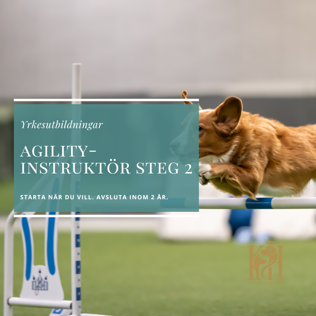 Agilityinstruktör Steg 2