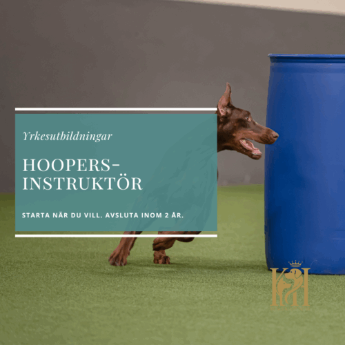 Hoopersinstruktör