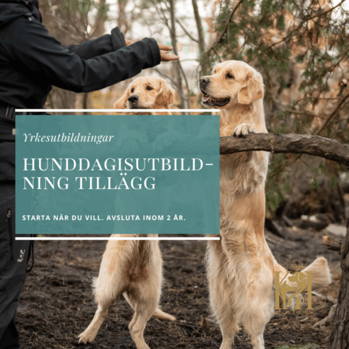 Hunddagisutbildning tillägg