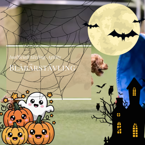Agility Halloweenblåbärstävling 30 Oktober