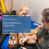 Hanteringsträning- 1 tillfälle