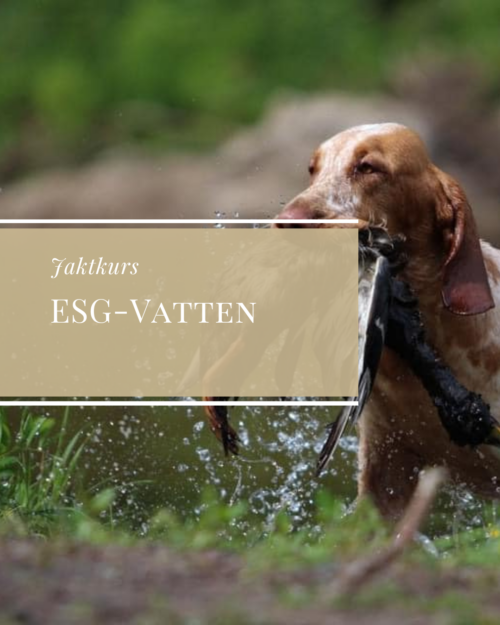 ESG-Vatten 15/6