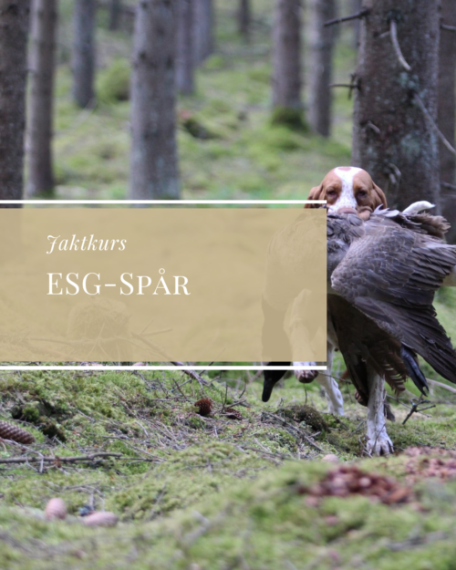 ESG-Spår 25/6