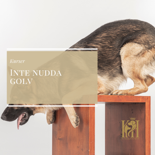 Inte nudda golv
