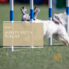 Agility Sätta Nollan