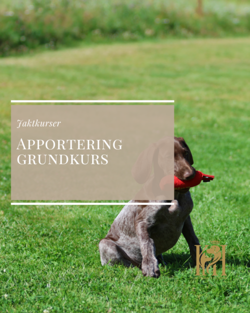 Apportering grundkurs-självstudier
